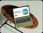 Website development project